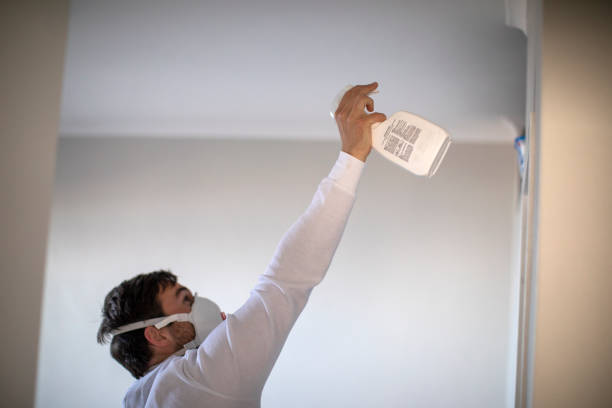 Best DIY Mold Remediation Support Services in Highland Park, IL