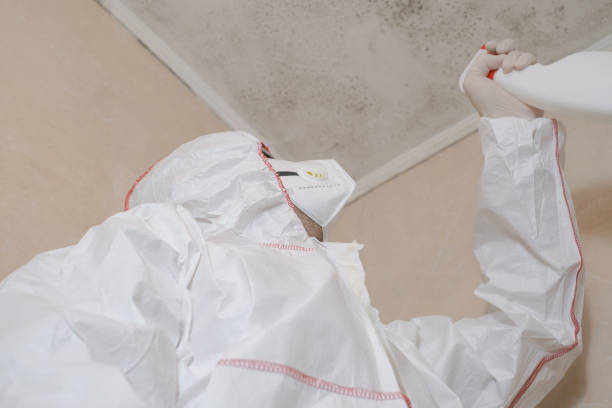 Best Emergency Mold Remediation in Highland Park, IL